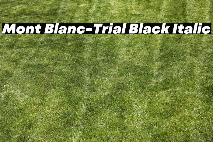 Mont Blanc-Trial Black Italic Example 1