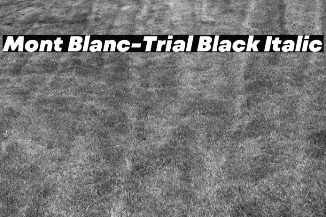 Mont Blanc-Trial Black Italic Font examples
