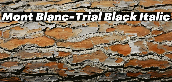 Mont Blanc-Trial Black Italic Example 2