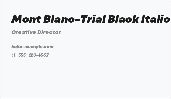 Mont Blanc-Trial Black Italic Business Card