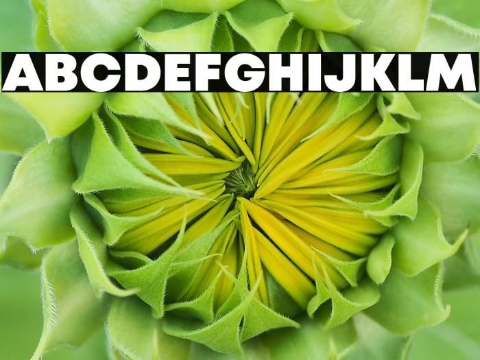 Mont Blanc-Trial Black Example 2