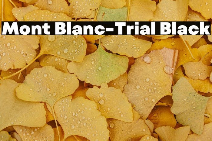 Mont Blanc-Trial Black Example 1