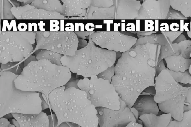 Mont Blanc-Trial Black Font examples