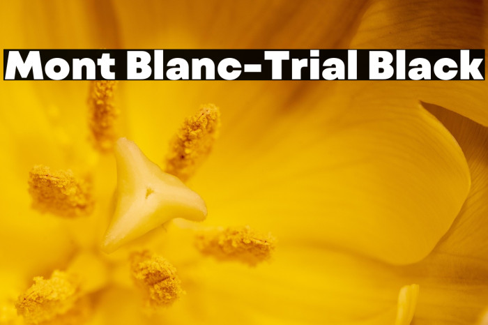Mont Blanc-Trial Black Example 2
