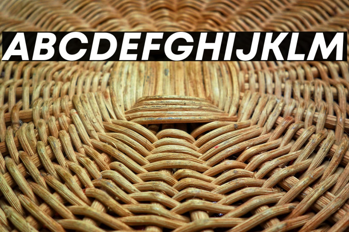 Mont Blanc-Trial Bold Italic Example 2