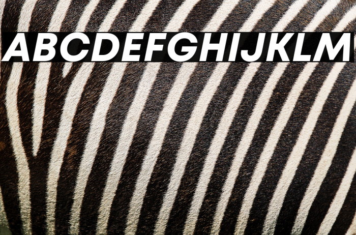 Mont Blanc-Trial Bold Italic Example 3