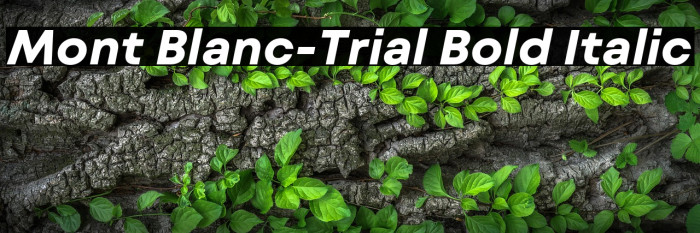 Mont Blanc-Trial Bold Italic Example 1