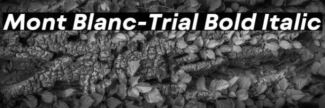 Mont Blanc-Trial Bold Italic Font examples