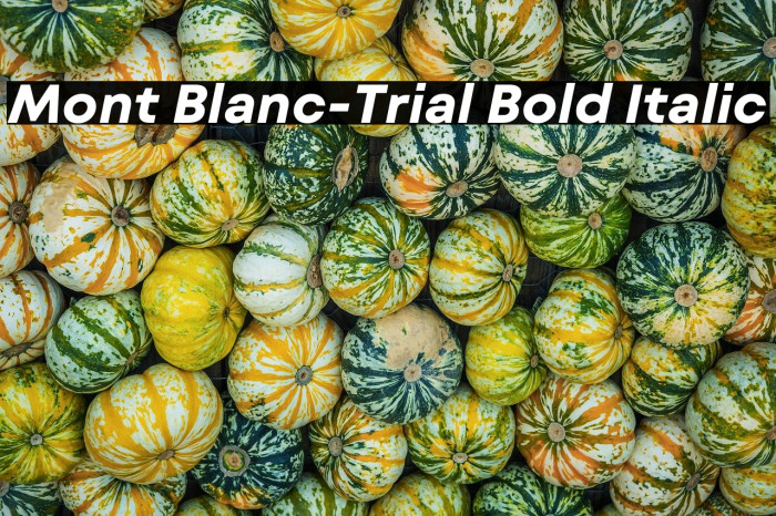 Mont Blanc-Trial Bold Italic Example 2