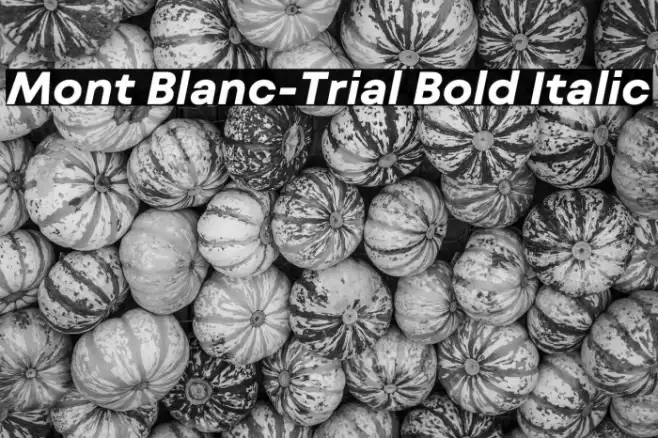 Mont Blanc-Trial Bold Italic Font examples