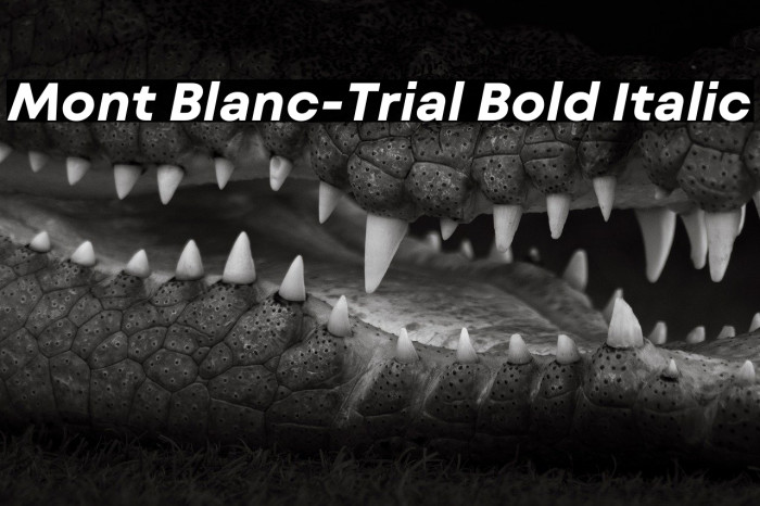 Mont Blanc-Trial Bold Italic Example 3