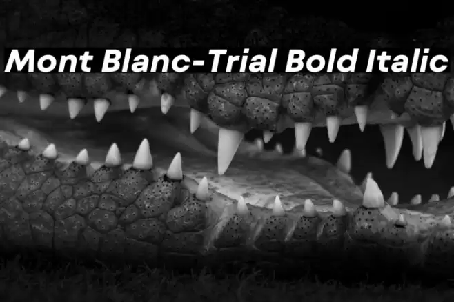 Mont Blanc-Trial Bold Italic Font examples
