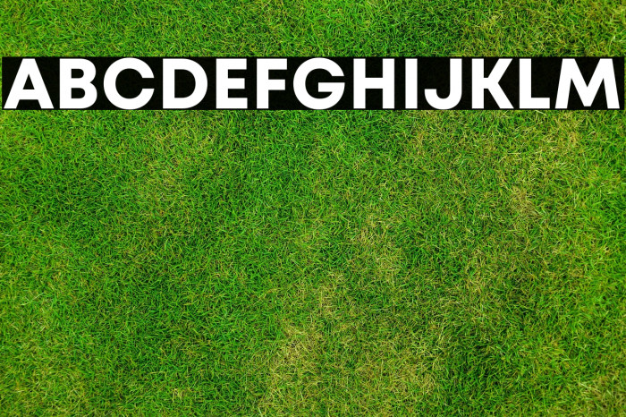 Mont Blanc-Trial Bold Example 3