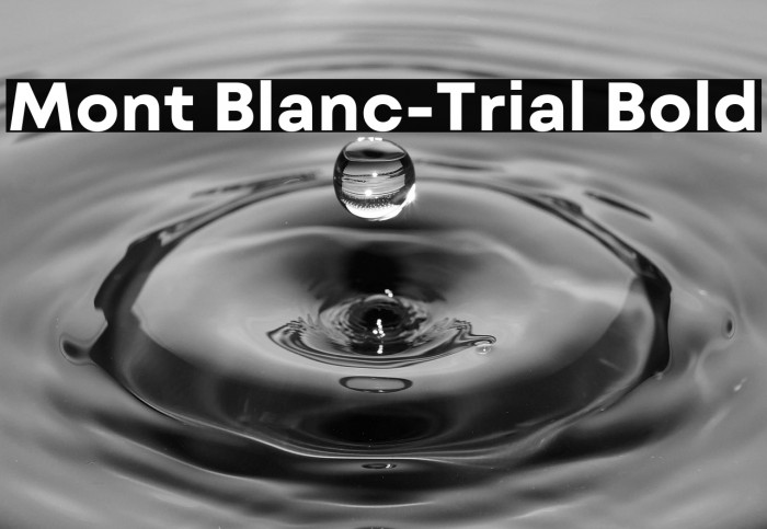 Mont Blanc-Trial Bold Example 1