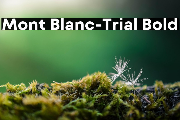 Mont Blanc-Trial Bold Example 3