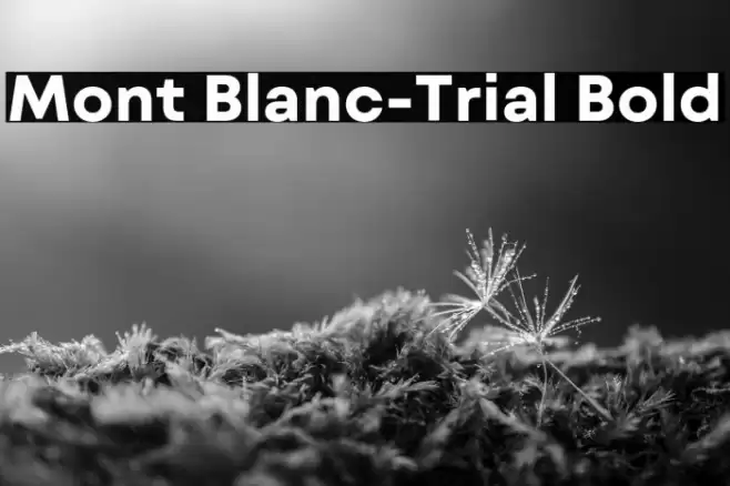 Mont Blanc-Trial Bold Font examples