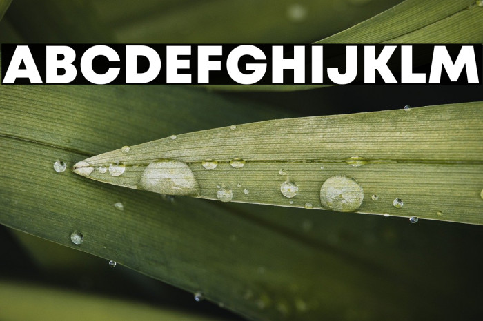 Mont Blanc-Trial ExtraBold Example 1