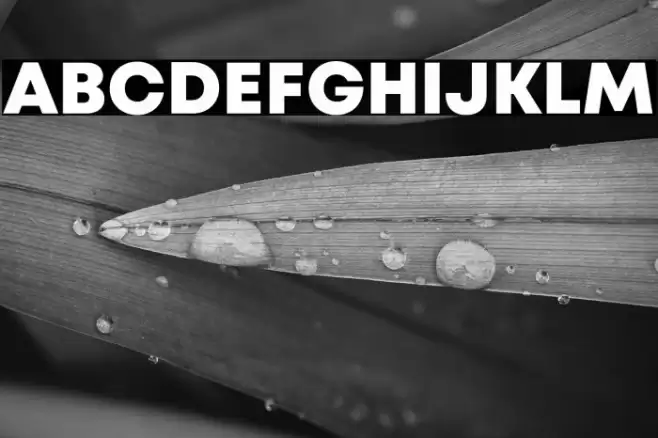 Mont Blanc-Trial ExtraBold Font examples