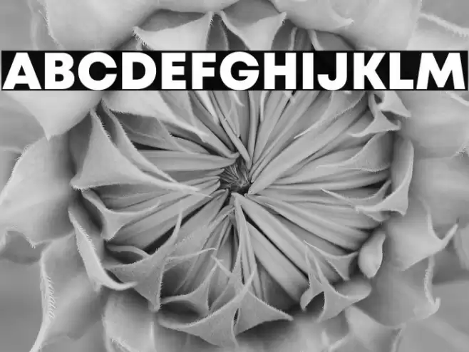 Mont Blanc-Trial ExtraBold Font examples