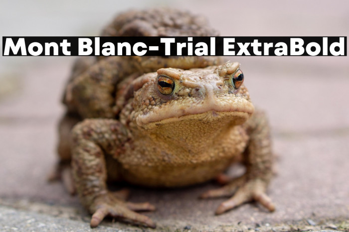 Mont Blanc-Trial ExtraBold Example 1