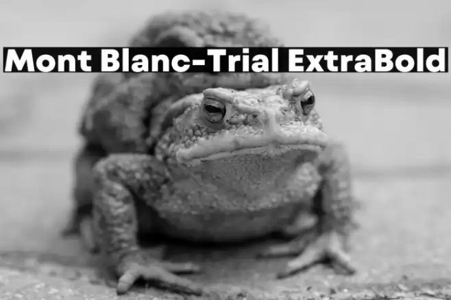 Mont Blanc-Trial ExtraBold Font examples