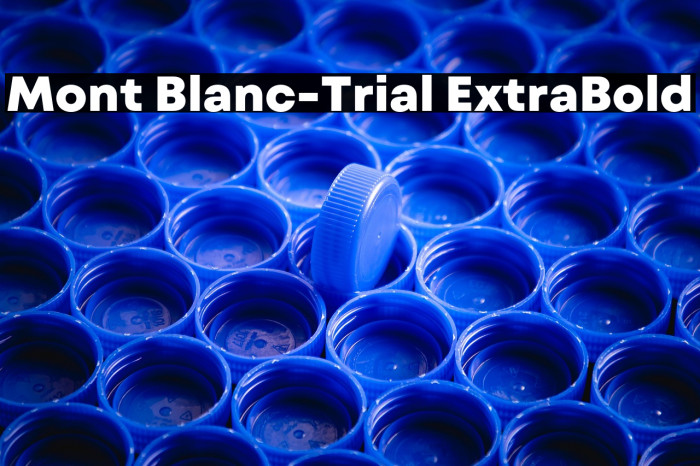 Mont Blanc-Trial ExtraBold Example 3