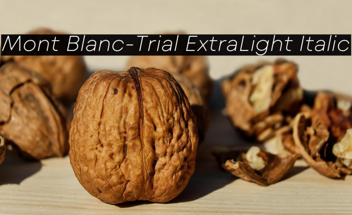 Mont Blanc-Trial ExtraLight Italic Example 1
