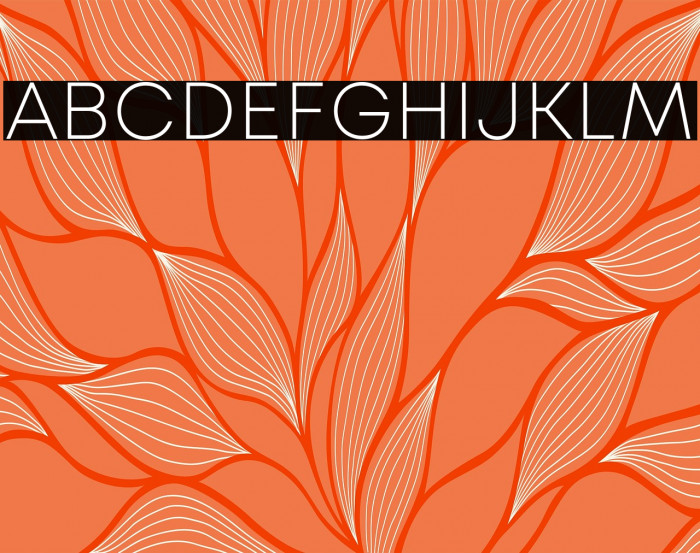 Mont Blanc-Trial ExtraLight Example 3