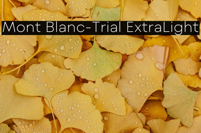 Mont Blanc-Trial ExtraLight Example 2