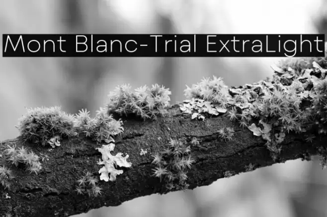 Mont Blanc-Trial ExtraLight Font examples