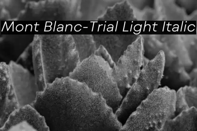 Mont Blanc-Trial Light Italic Font examples