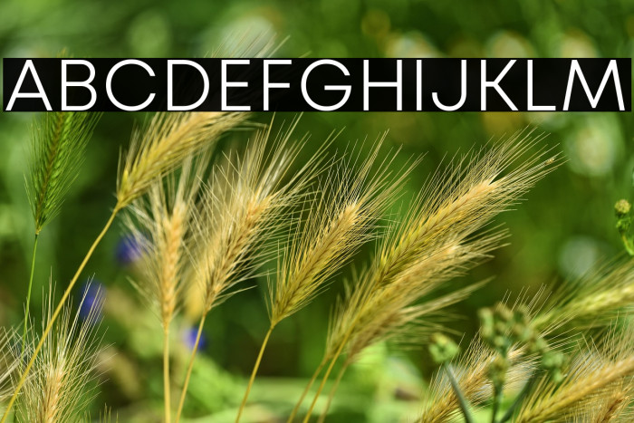 Mont Blanc-Trial Light Example 3