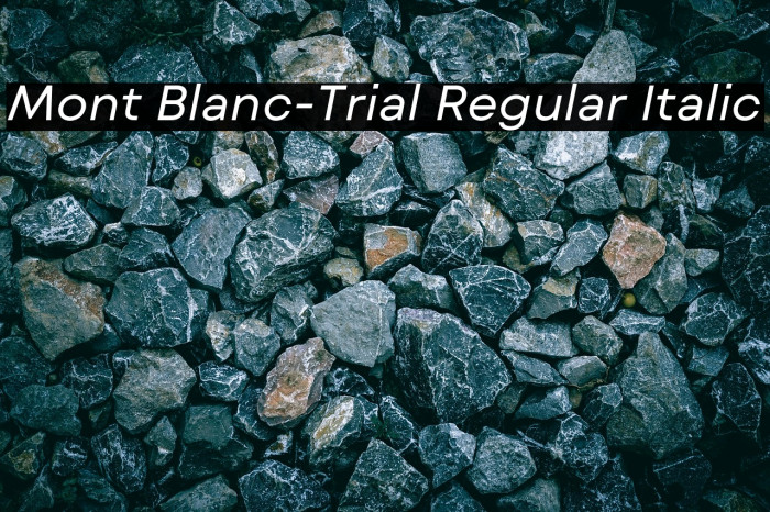 Mont Blanc-Trial Regular Italic Example 3