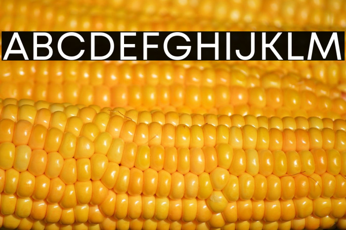 Mont Blanc-Trial Regular Example 1