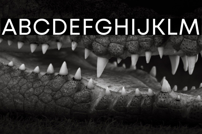 Mont Blanc-Trial Regular Example 3