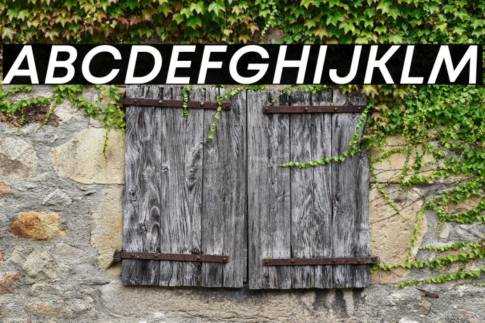 Mont Blanc-Trial SemiBold Italic Example 1