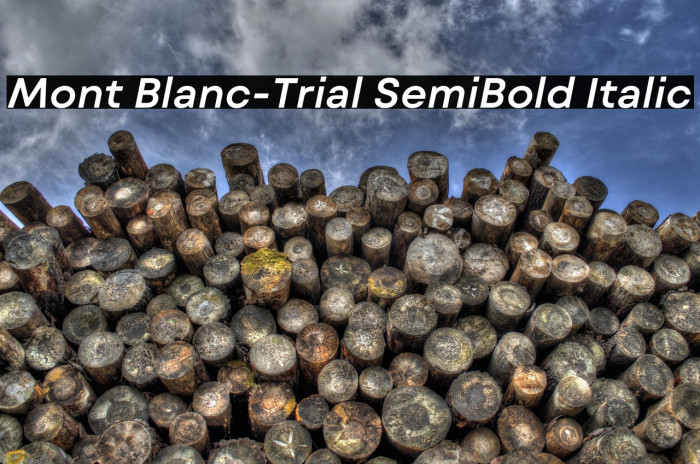 Mont Blanc-Trial SemiBold Italic Example 1