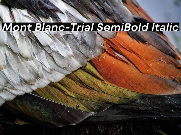 Mont Blanc-Trial SemiBold Italic Example 2