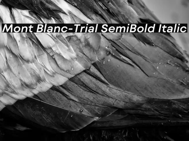 Mont Blanc-Trial SemiBold Italic Font examples