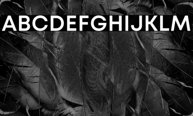 Mont Blanc-Trial SemiBold Font examples