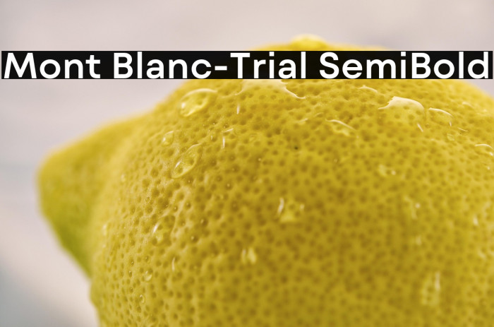 Mont Blanc-Trial SemiBold Example 1