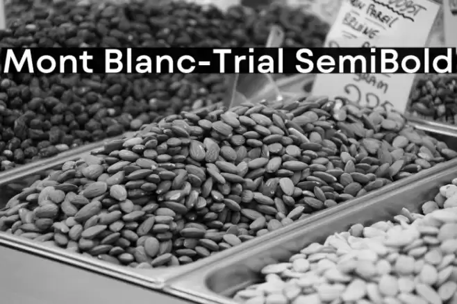 Mont Blanc-Trial SemiBold Font examples