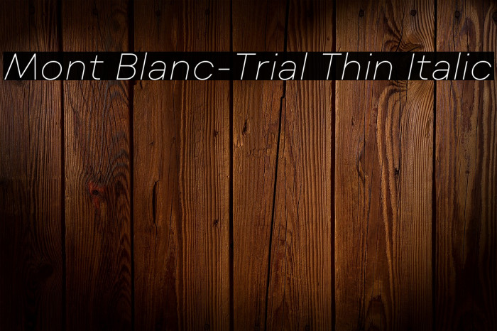 Mont Blanc-Trial Thin Italic Example 3