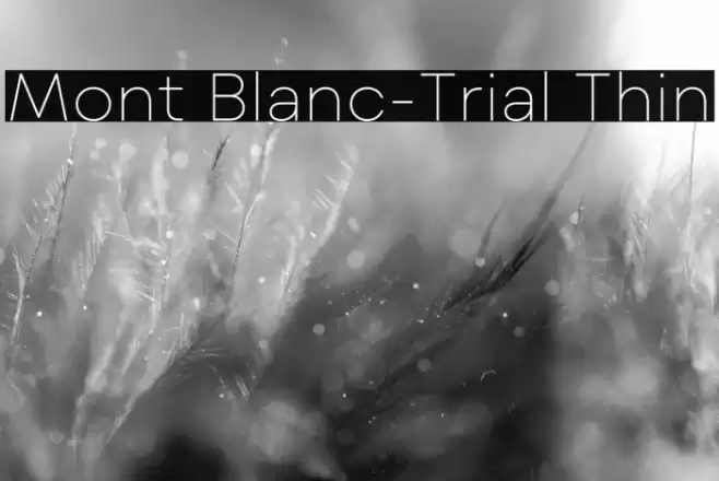 Mont Blanc-Trial Thin Font examples