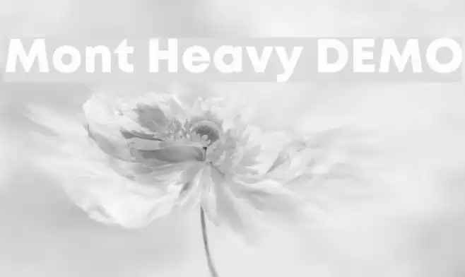 Mont Heavy DEMO Font examples