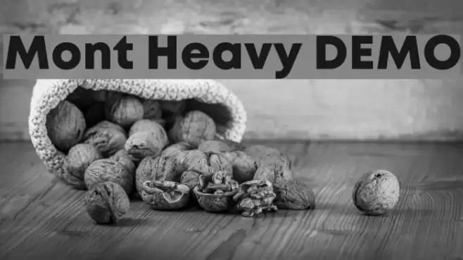 Mont Heavy DEMO Font examples