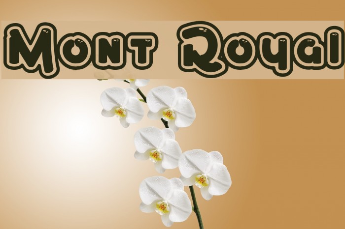 Mont Royal Font examples