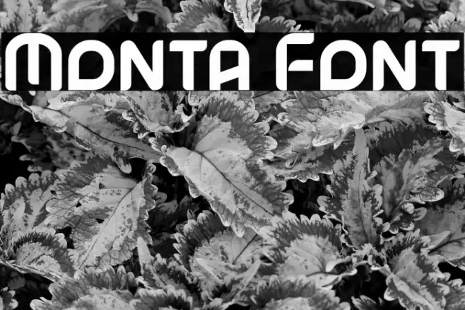 Monta Font examples