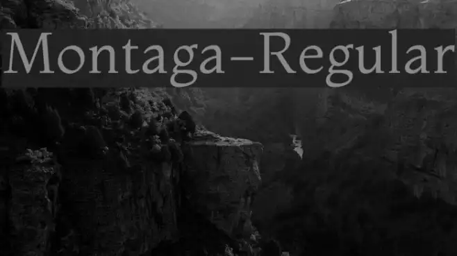 Montaga-Regular Example 1