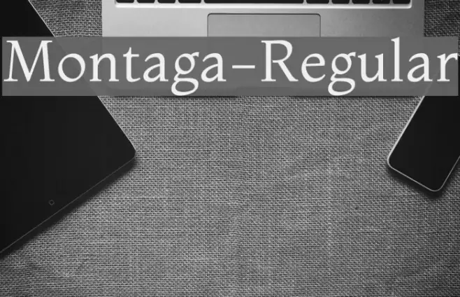 Montaga-Regular Example 3